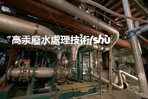“高汞廢水處理技術(shù)，綠色環(huán)保新篇章”
